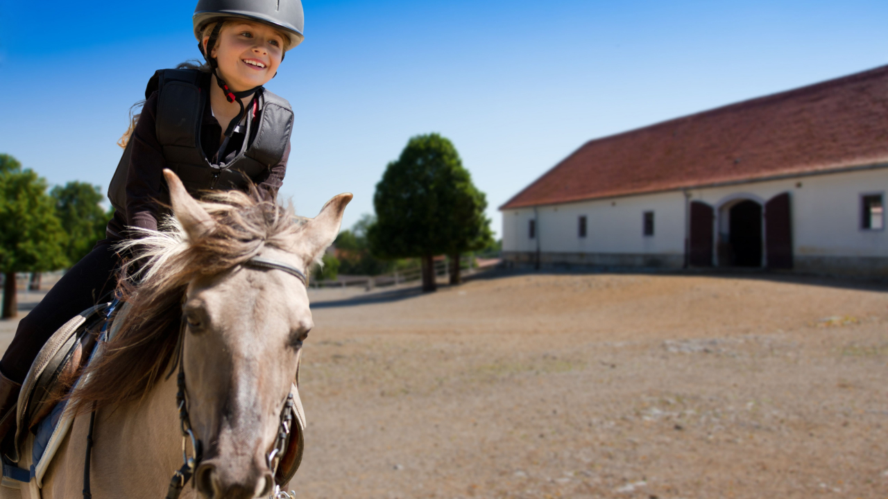 MEZZA CLUB EQUESTRE