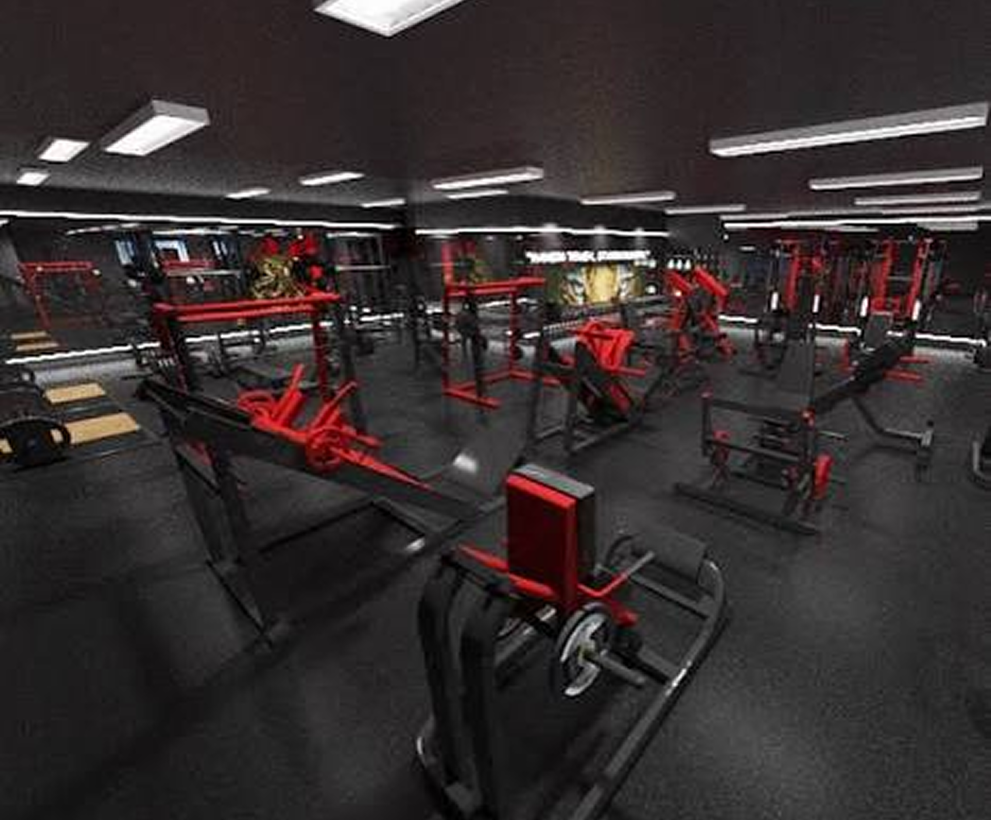 TIGER GYM MEGRINE
