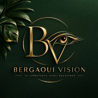 BERGAOUI VISION 